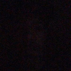 Meet your Posher, Corey